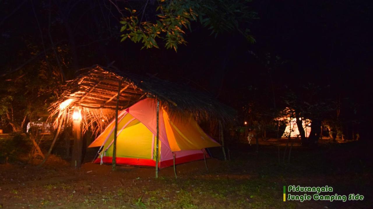 Sigiri Jungle Camping Hotel Sigiriya Exterior foto