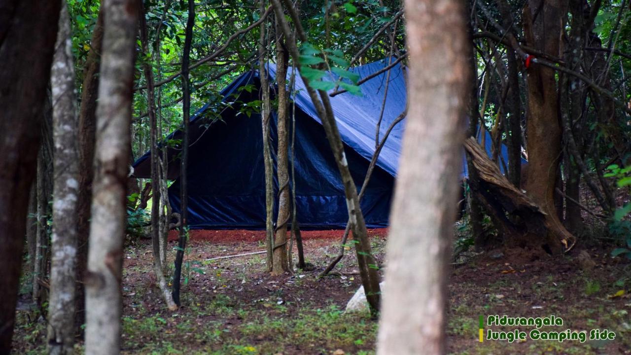 Sigiri Jungle Camping Hotel Sigiriya Exterior foto